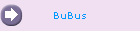 BuBus